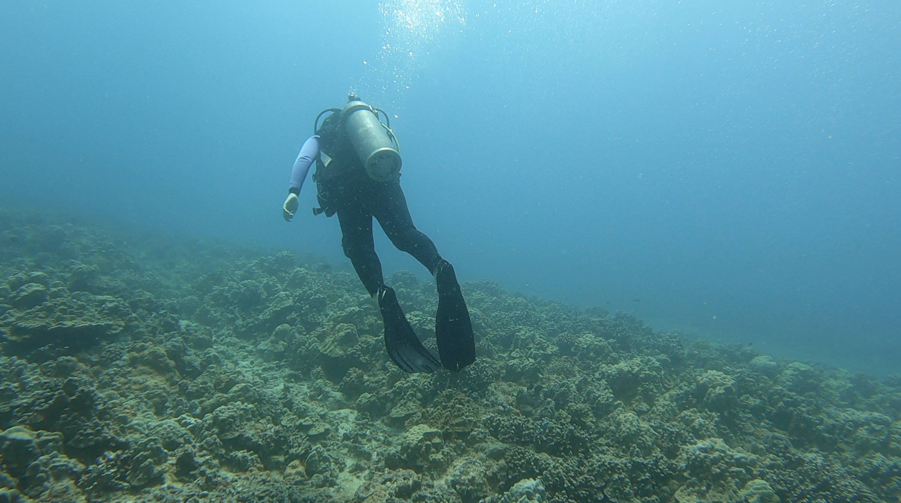 Scuba Diving